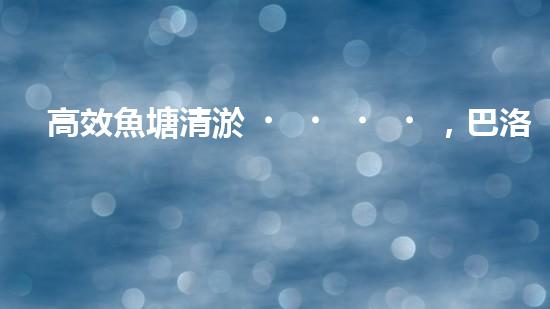 高效魚塘清淤，巴洛仕設備助力生態(tài)養(yǎng)殖